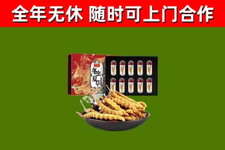 武乡烟酒回收冬虫夏草礼盒.jpg